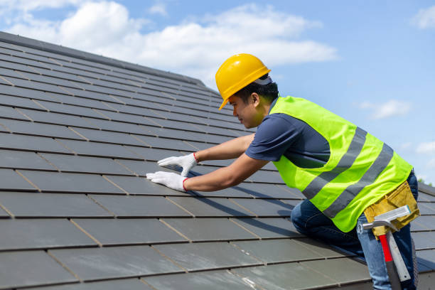 Best Storm Damage Roof Repair  in Roosevelt Park, MI