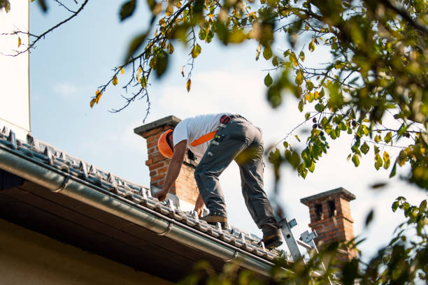 Best Roof Leak Repair  in Roosevelt Park, MI