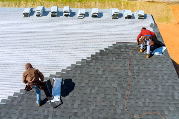 Best Residential Roofing Contractor  in Roosevelt Park, MI