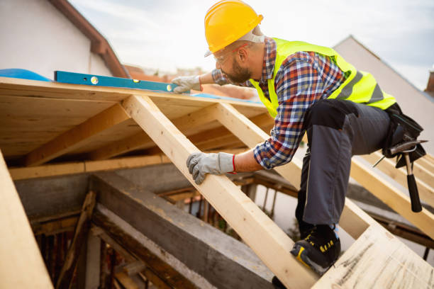 Best Shingle Roofing Installation  in Roosevelt Park, MI