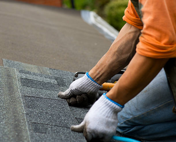 Best Gutter Installation and Roofing  in Roosevelt Park, MI