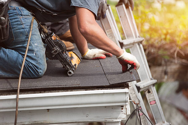 Best New Roof Installation  in Roosevelt Park, MI