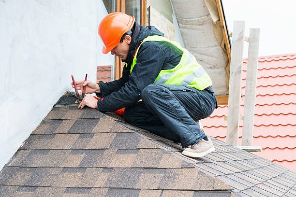 Best Local Roofing Companies  in Roosevelt Park, MI