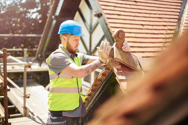 Best New Roof Installation  in Roosevelt Park, MI